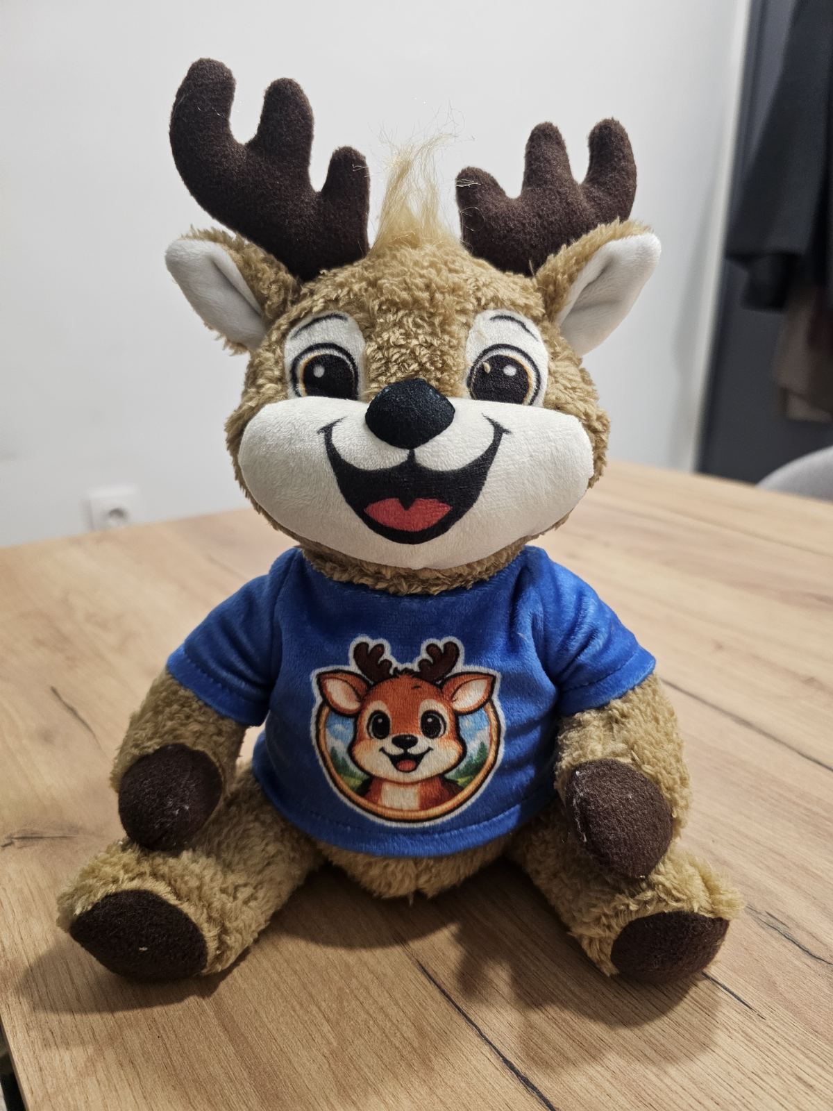 Mascot costumes
